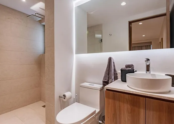 Appartement Condesa Garden House And Rooftop Avenida Nuevo Leon